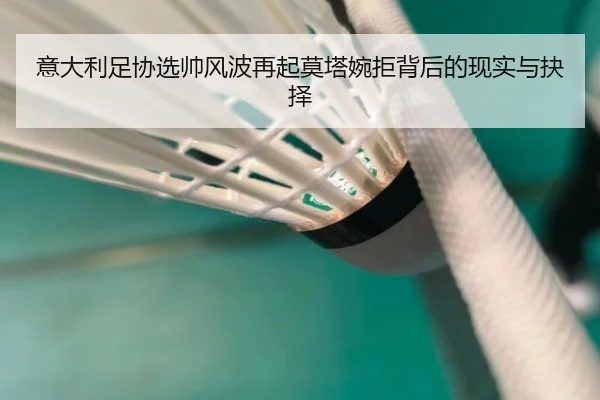 意大利足协选帅风波再起莫塔婉拒背后的现实与抉择